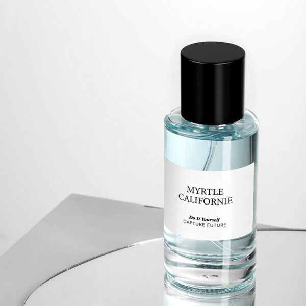 Ladies' Fresh, Natural and Long-lasting Perfume, Wholesale for Students. TikTok Influencer Perfume, Dropshipping, Factory Brand - immagine 4
