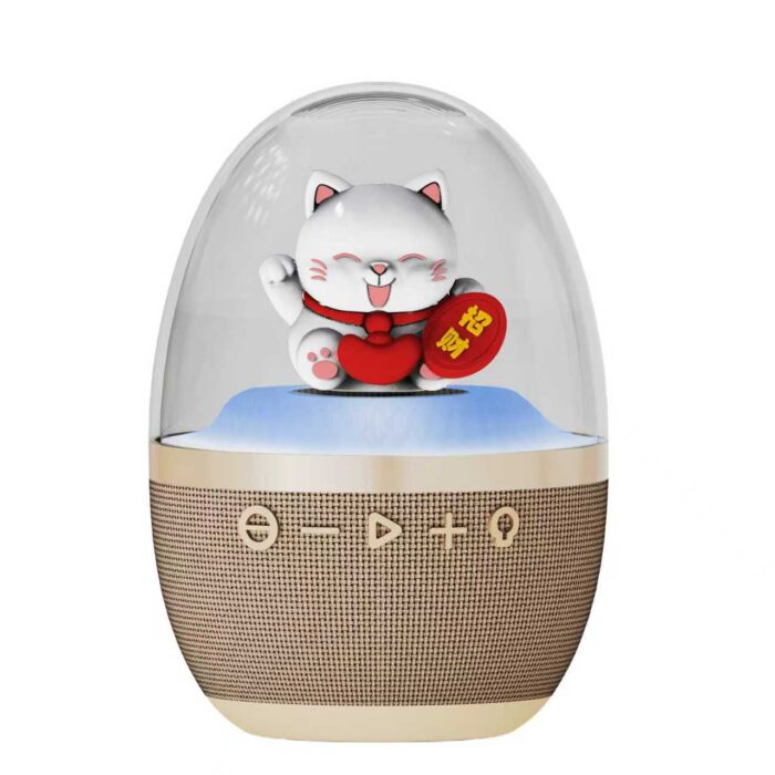 H10 Bluetooth Speaker