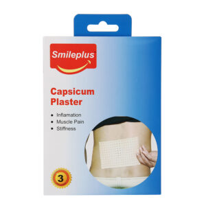 Warm Plasters 3pcs (HY8815)